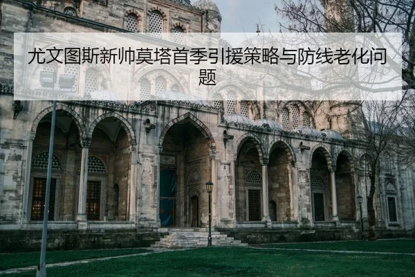 you-wen-tu-si-xin-shuai-mo-ta-shou-ji-yin-yuan-ce-lve-yu-fang-xian-lao-hua-wen-ti-2-303.jpg