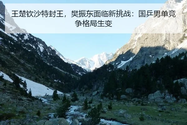 王楚钦沙特封王，樊振东面临新挑战：国乒男单竞争格局生变